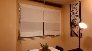 2 Estores RINGBLOMMA Ikea Blancos