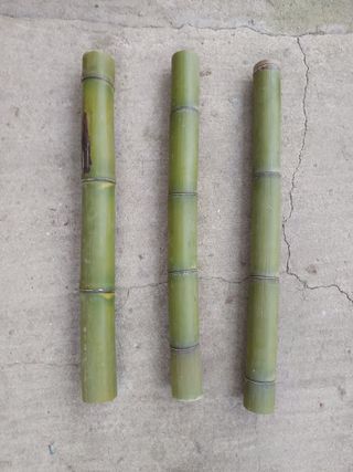 Cañas de bambú verdes 1m