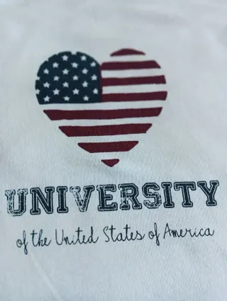 Camiseta Green Coast Corazón Bandera USA