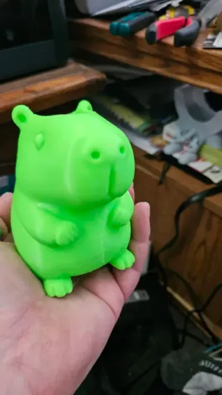 Portalápices Capybara personalizado