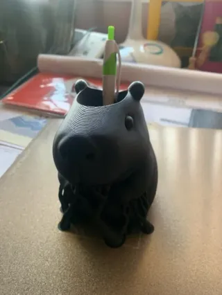Portalápices Capybara personalizado
