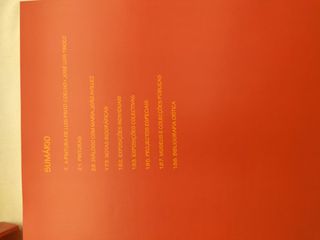 Livro "A Pintura de Luís Pinto Coelho" - CXL4