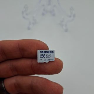 Nintendo Switch Lite Grigia + MicroSD 256GB