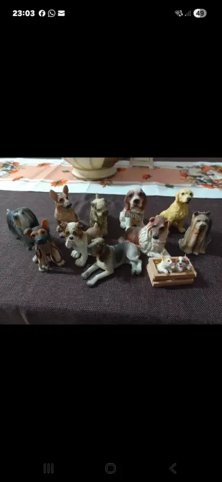 Set 10 Statuine Cani