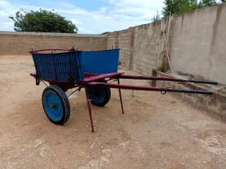 Carro valenciano para caballo mediano