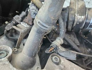 Audi agn motor completo a3 (8l) 1340840