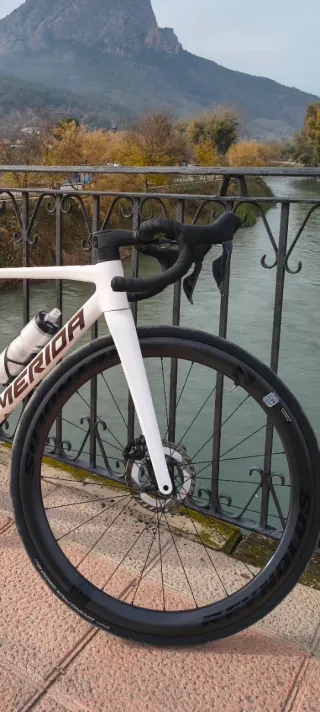 Ruedas Reynolds AR 46DB Carbono