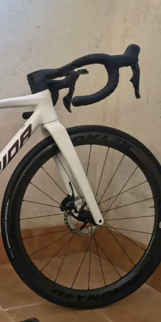 Ruedas Reynolds AR 46DB Carbono