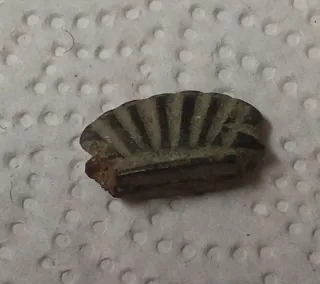 Amuleto Romano Almeja