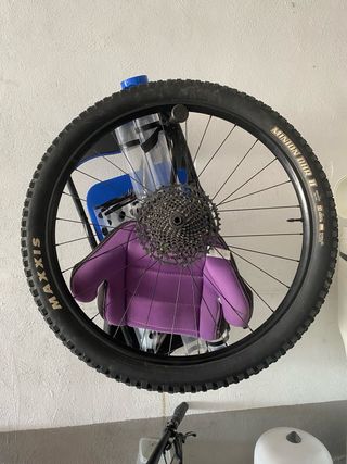 Rueda 29 Maxxis Minion DHR II