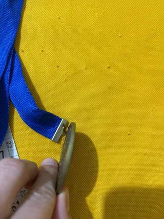 Medaglia Special Olympics Italia Giochi 2015