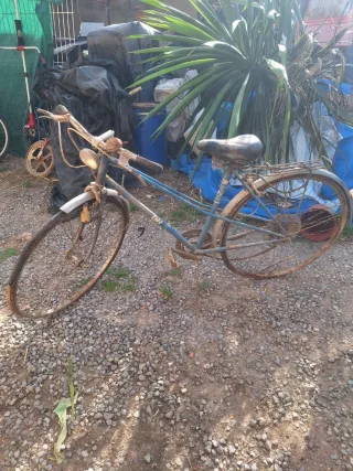 Se vende bicicletas antiguas 643697668