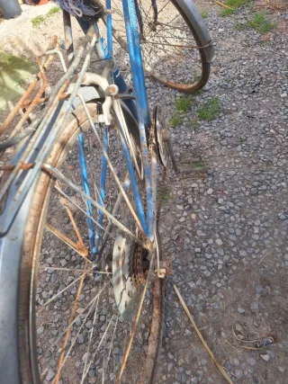 Se vende bicicletas antiguas 643697668