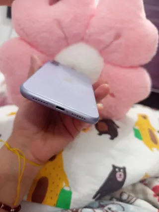 iPhone 11 Viola