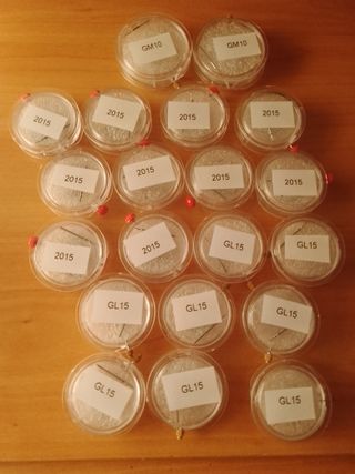 188 MAQUINAS MIYOTA PARA RELOJES NUEVAS