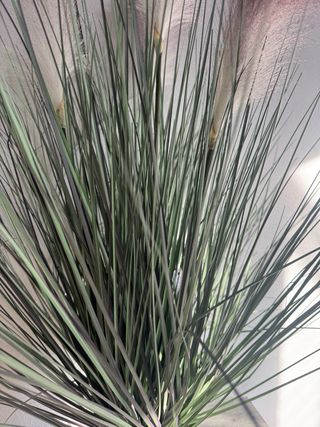 Planta artificial decorativa