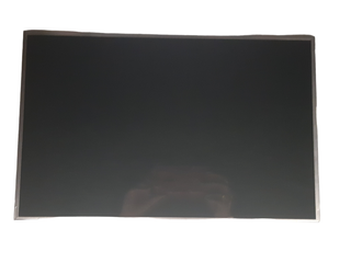 Pantalla portátil Au Optronics B170PW06 V.2 17"