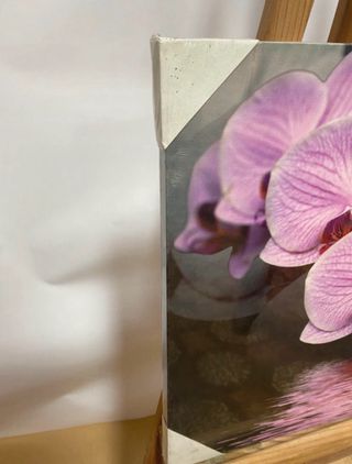 Foto Orquídeas Rosas y Doradas
