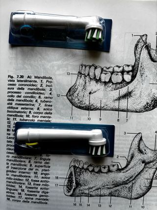 Due testine nuove crossaction spazzolino OralB