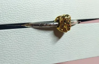 Charm cabeza Simba Rey León