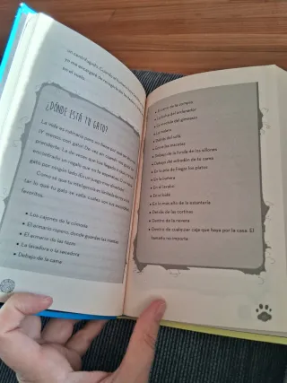 No hay mejor vida que la del gato