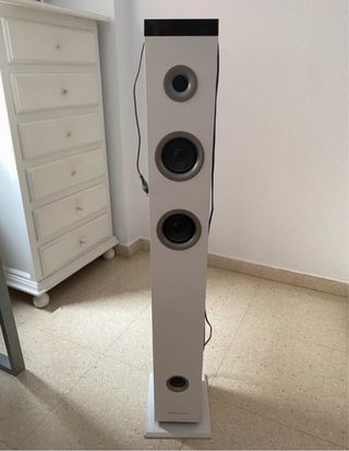 Altavoz Torre Blanco y Negro