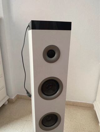 Altavoz Torre Blanco y Negro