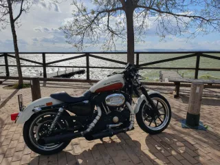 Harley Davidson 883 Superlow,