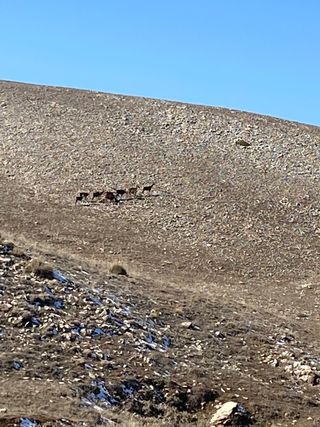 Alquilar plaza de garaje grande para coche y moto