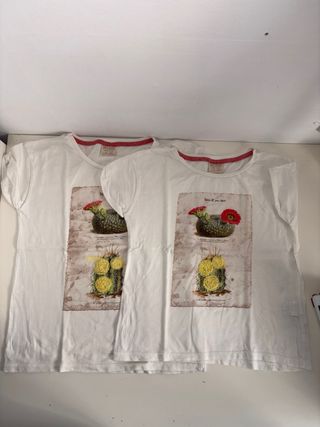 Lote 8 Camisetas Niña Tallas Variadas
