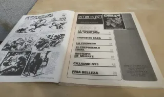 Lote Revista Delta