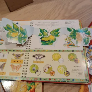 Pack 4 libros que sabes de. Disney interactivos