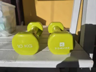 Mancuernas 1 kg (Par)