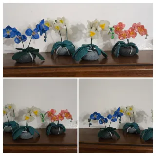 Miniatura orchidea decorativa