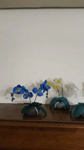 Miniatura orchidea decorativa