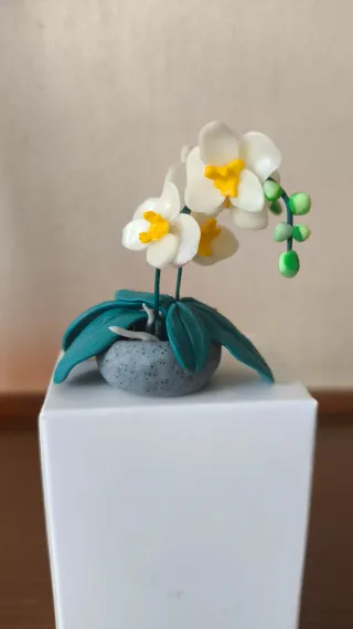 Miniatura orchidea decorativa