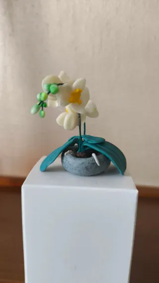 Miniatura orchidea decorativa