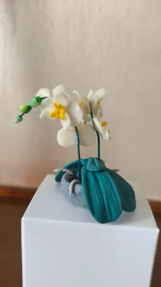 Miniatura orchidea decorativa