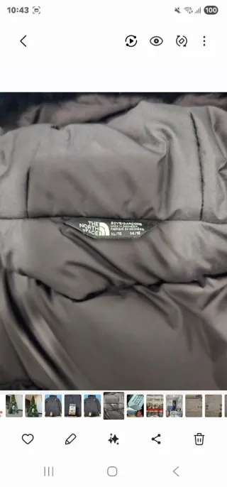 Chaqueta The North Face Negra con Capucha