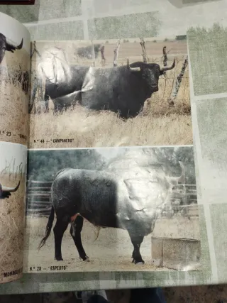 Revistas Aplausos 1989 Tomo 2