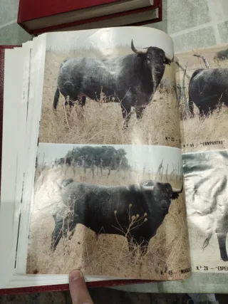 Revistas Aplausos 1989 Tomo 2