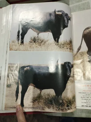 Revistas Aplausos 1989 Tomo 2