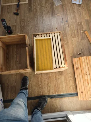 Colmena Flow Honey con marcos