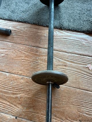 Barra de pesas con 2 discos de 5