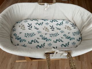 Moisés con patas y fundas