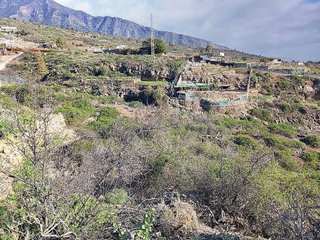 Terreno en venta en Arafo