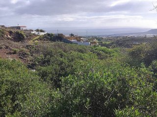 Terreno en venta en Arafo