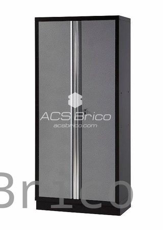 Armario Doble Puerta 2 Metros Alyco 192852