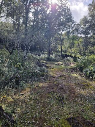 Terreno en venta en Aracena