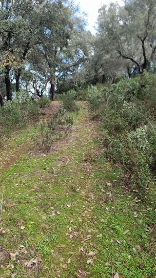 Terreno en venta en Aracena